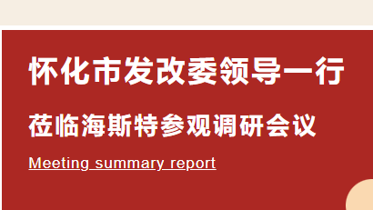 【企业动态】怀化市发改委领导一行莅临海斯特参观调研